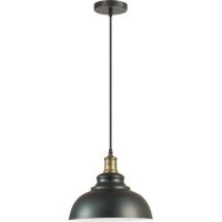 Подвесной светильник с 1 плафоном Lumion 3675/1 DARIO под лампу 1xE27 60W