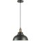 Подвесной светильник с 1 плафоном Lumion 3675/1 DARIO под лампу 1xE27 60W