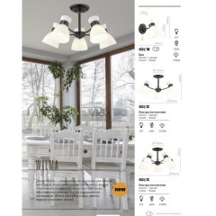 Бра с выключателем Wilma 4534/1W