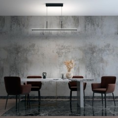 Светильник подвесной диммируемый со сменой цв.температуры, пульт ДУ (2.4G) в комплекте LED 50W ITER 358991 OVER