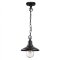 Уличный подвесной светильник Odeon Light 4965/1 CAMPA IP44 под лампу 1xE27 1*60W