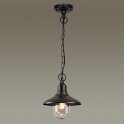 Уличный подвесной светильник Odeon Light 4965/1 CAMPA IP44 под лампу 1xE27 1*60W