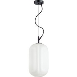 Подвесной светильник с 1 плафоном Odeon Light 4751/1 ROOFI под лампу 1xE27 60W