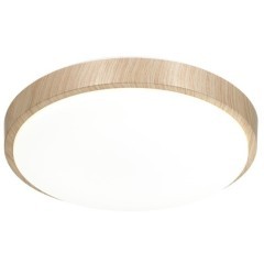 Настенно-потолочный светильник Sonex 7607/EL LOSTA IP43 светодиодный LED 72W