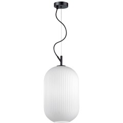 Подвесной светильник с 1 плафоном Odeon Light 4752/1 ROOFI под лампу 1xE27 60W