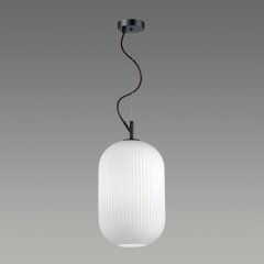 Подвесной светильник с 1 плафоном Odeon Light 4752/1 ROOFI под лампу 1xE27 60W