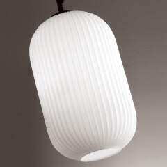 Подвесной светильник с 1 плафоном Odeon Light 4752/1 ROOFI под лампу 1xE27 60W