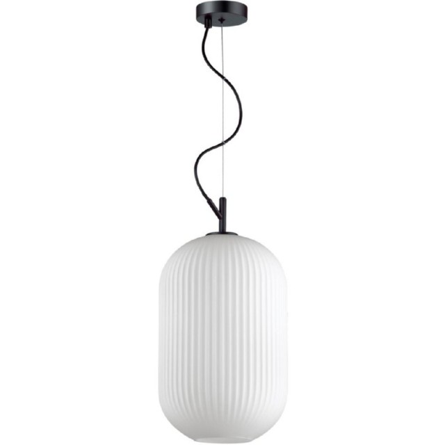 Подвесной светильник с 1 плафоном Odeon Light 4752/1 ROOFI под лампу 1xE27 60W
