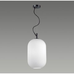 Подвесной светильник с 1 плафоном Odeon Light 4752/1 ROOFI под лампу 1xE27 60W