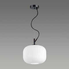 Подвесной светильник с 1 плафоном Odeon Light 4753/1 ROOFI под лампу 1xE27 60W
