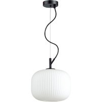 Подвесной светильник с 1 плафоном Odeon Light 4753/1 ROOFI под лампу 1xE27 60W
