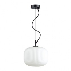 Подвесной светильник с 1 плафоном Odeon Light 4753/1 ROOFI под лампу 1xE27 60W