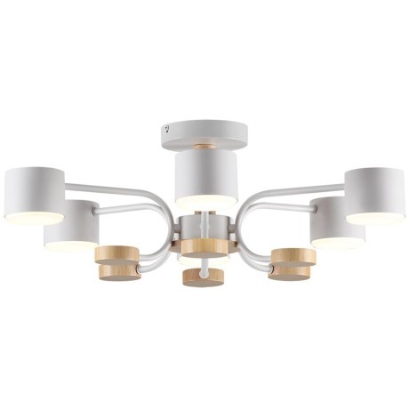 Светильник потолочный GX53 220V Lumion RONDO 8231/6C