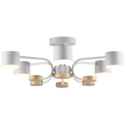 Светильник потолочный GX53 220V Lumion RONDO 8231/6C