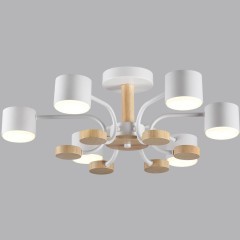 Светильник потолочный GX53 220V Lumion RONDO 8231/6C