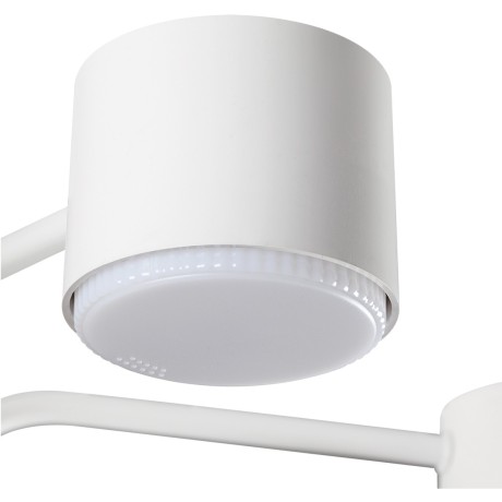 Светильник потолочный GX53 220V Lumion RONDO 8231/6C