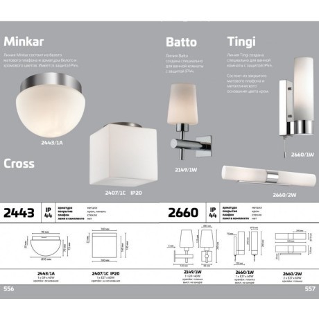 Настенно-потолочный светильник влагозащищенный Minkar 2443/1A