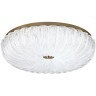Потолочный светильник Sonex TESORO 7719/60L