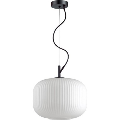 Подвесной светильник с 1 плафоном Odeon Light 4754/1 ROOFI под лампу 1xE27 60W