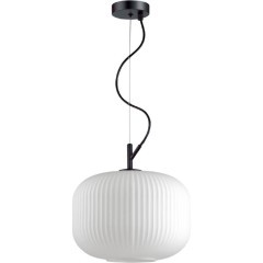 Подвесной светильник с 1 плафоном Odeon Light 4754/1 ROOFI под лампу 1xE27 60W