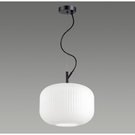 Подвесной светильник с 1 плафоном Odeon Light 4754/1 ROOFI под лампу 1xE27 60W