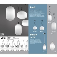 Подвесной светильник с 1 плафоном Odeon Light 4754/1 ROOFI под лампу 1xE27 60W