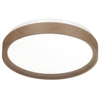 Настенно-потолочный светильник Sonex 7603/DL WOODI IP43 светодиодный LED 48W