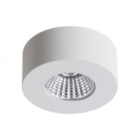 Накладной потолочный светильник Odeon Light 4282/7CL BENE светодиодный LED 7W