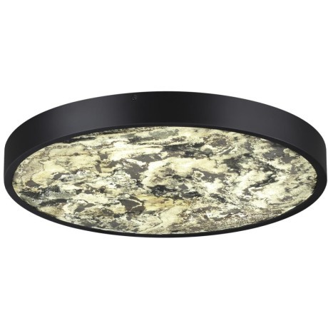 Настенно-потолочный светильник ODEON LIGHT BERGI 5064/40L