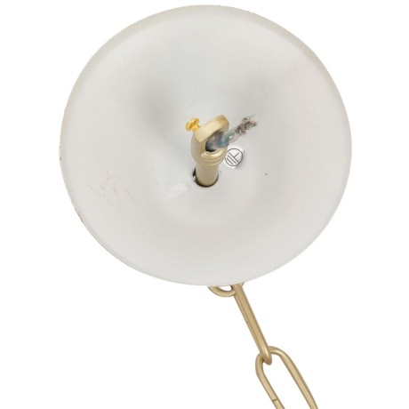 Люстра подвесная E14 12*40W Lumion SUANA 8318/12