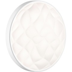 Настенно-потолочный светильник СОНЕКС Sonex GITUM 7672/DL