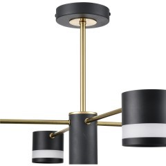 Люстра потолочная GX53 Lumion LANIKA 8240/8C