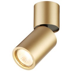 Накладной потолочный светильник Odeon Light 3895/1C DUETTA под лампу 1xGU10 50W