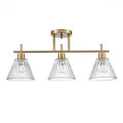 Потолочный светильник E14 Lumion VIVIAN 8188/3C