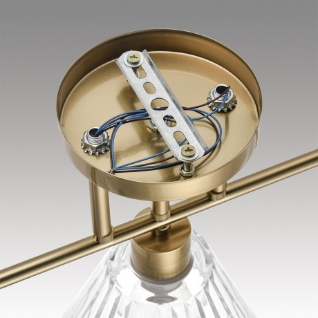 Потолочный светильник E14 Lumion VIVIAN 8188/3C