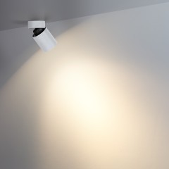 Потолочный светильник IP20 LED 7W 75Лм 3000K 36° TURNO 7133/7CL