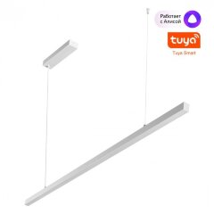 Светильник подвесной диммируемый со сменой цветовой температуры (пульт ДУ/прилож. Smart Life) IP20 LED 48W 3000-6000К Novotech SOTTO 359441