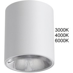 Потолочный светильник IP20 LED 12W 960Лм 3000K/4000K/6000K  36° 220-240V BRIM 7139/12CL