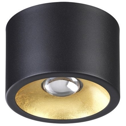 Потолочной накладной светильник Novotech GLASGOW (вместо 3878/1CL) 6669/1CL