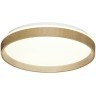 Светильник LED 70Вт 3000-6000K D490 IP43 пульт ДУ Sonex GARI WOOD 7684/EL