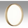 Светильник LED 70Вт 3000-6000K D490 IP43 пульт ДУ Sonex GARI WOOD 7684/EL