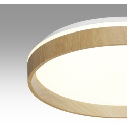 Светильник LED 70Вт 3000-6000K D490 IP43 пульт ДУ Sonex GARI WOOD 7684/EL