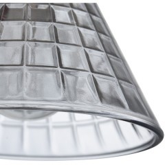 Люстра потолочная Е14 Lumion ANRIYA 8044/6C