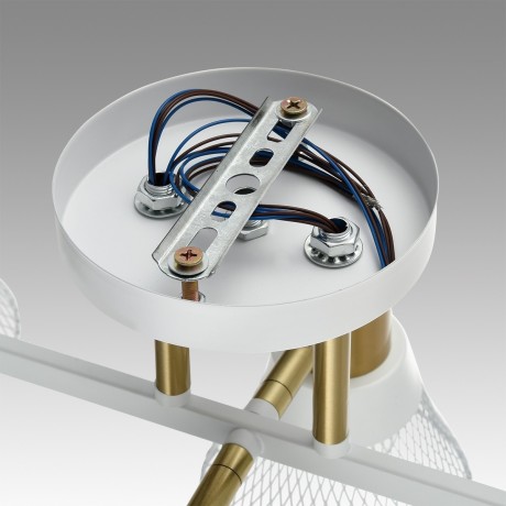 Люстра потолочная Е14 Lumion ANRIYA 8045/6C