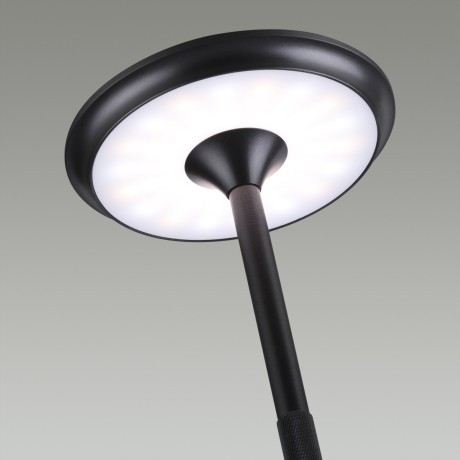 Настольная лампа ODEON LIGHT TET-A-TET 5034/6TL