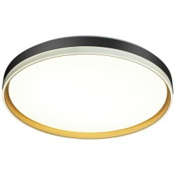 Настенно-потолочный светильник Sonex 7619/DL SAVI IP43 светодиодный LED 48W