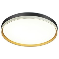 Настенно-потолочный светильник Sonex 7619/DL SAVI IP43 светодиодный LED 48W