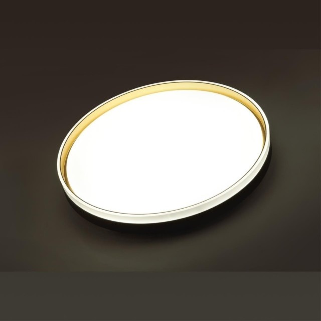 Настенно-потолочный светильник Sonex 7619/DL SAVI IP43 светодиодный LED 48W