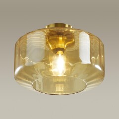 Настенно-потолочный светильник Odeon Light 4747/1C BINGA под лампу 1xE27 1*60W