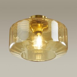 Настенно-потолочный светильник Odeon Light 4747/1C BINGA под лампу 1xE27 1*60W